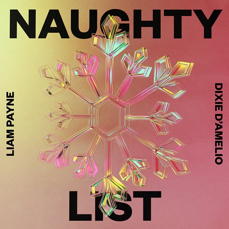 Liam Payne Naughty List