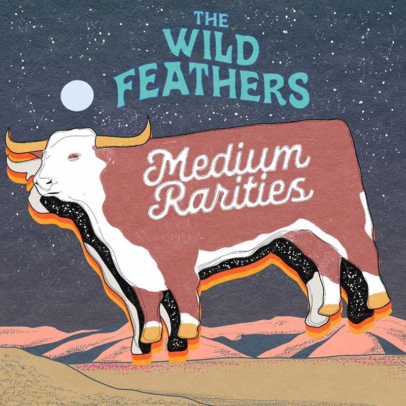 The Wild Feathers Fire