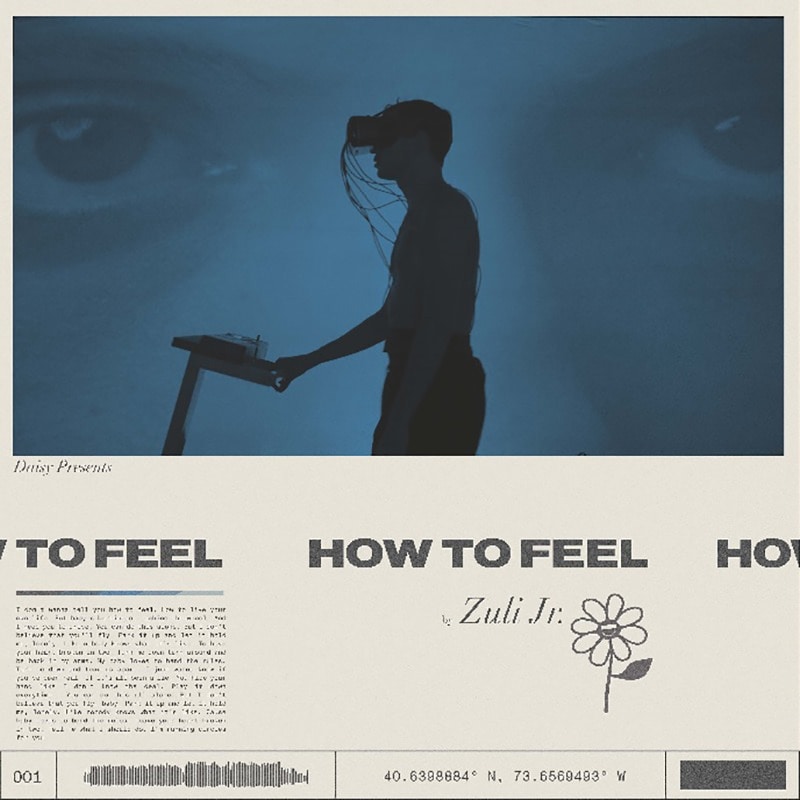 Zuli Jr How To Feel