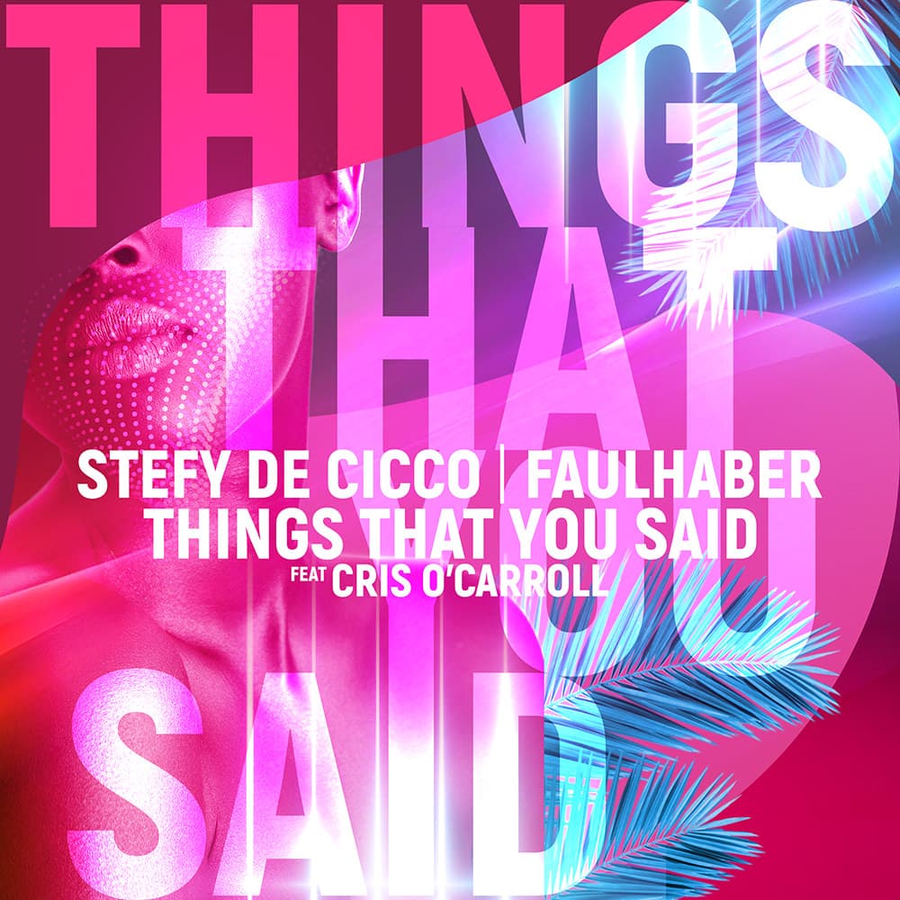 Stefy De Cicco Faulhaber Things That You Said