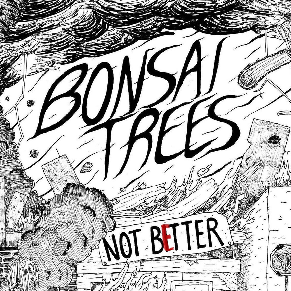 Bonsai Trees Not Better
