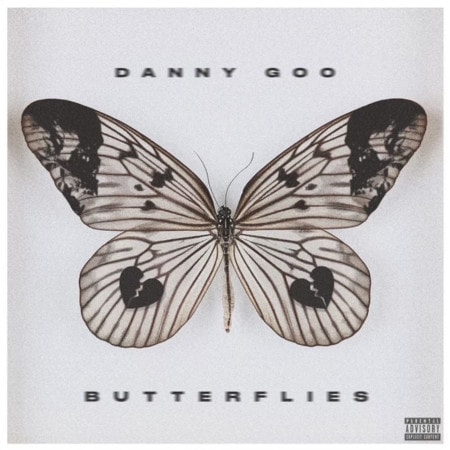 Danny Goo Butterflies