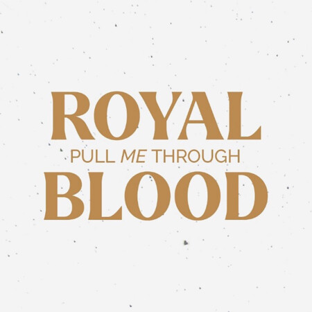 Royal Blood Pull Me Through