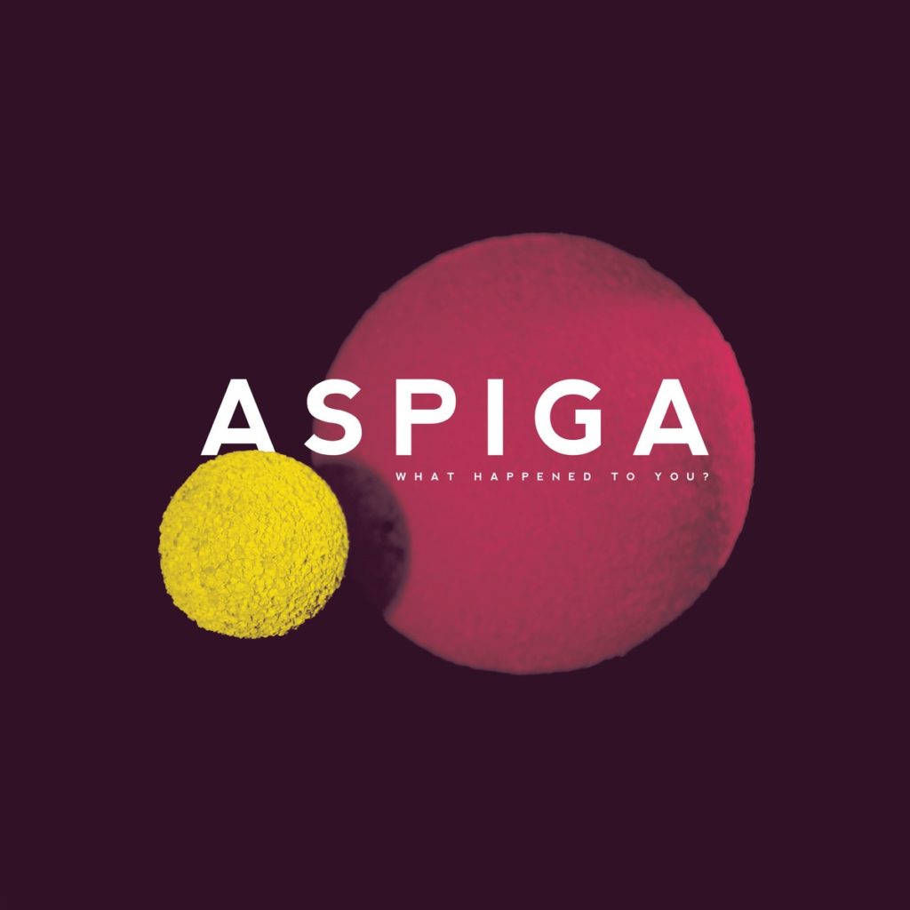 Aspiga What Happened To You