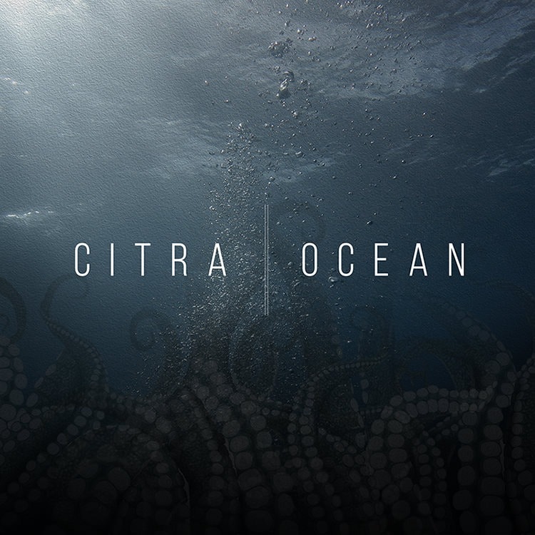 CITRA Ocean
