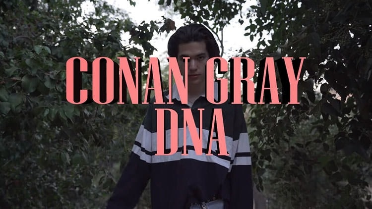Conan Gray Artist DNA Series